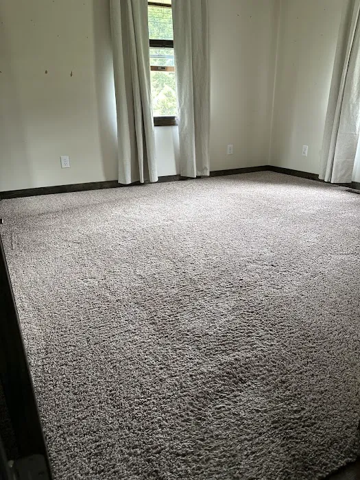 Stanley Steemer Picture 8