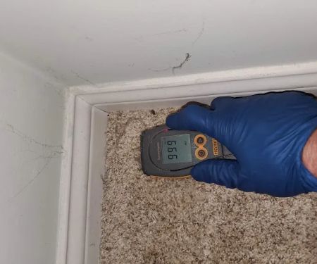 Restoration1 of Evansville