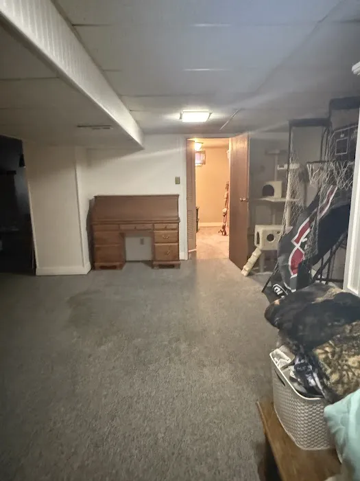 Water Fire Mold Experts Picture 9