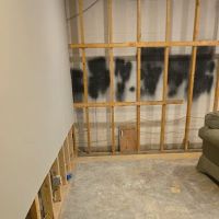 Water Fire Mold Experts ico