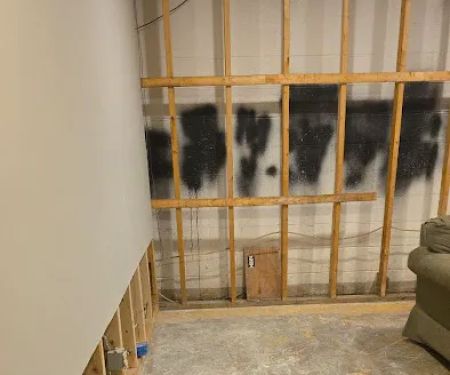 Water Fire Mold Experts