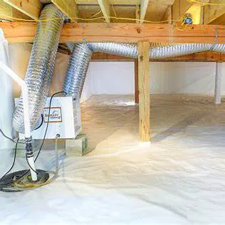 Water Fire Mold Experts Picture 8