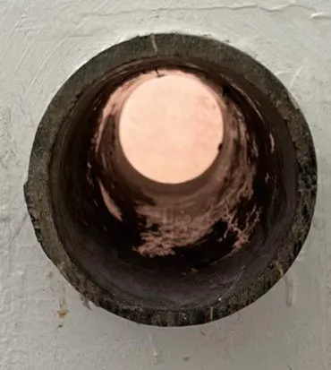 Stanley Steemer Picture 1