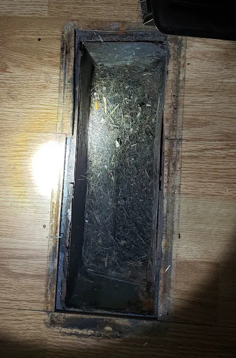 Stanley Steemer Picture 3