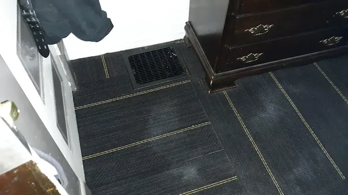 Stanley Steemer Picture 8