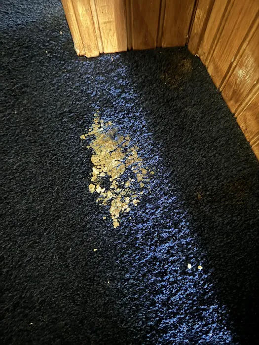 Stanley Steemer Picture 5