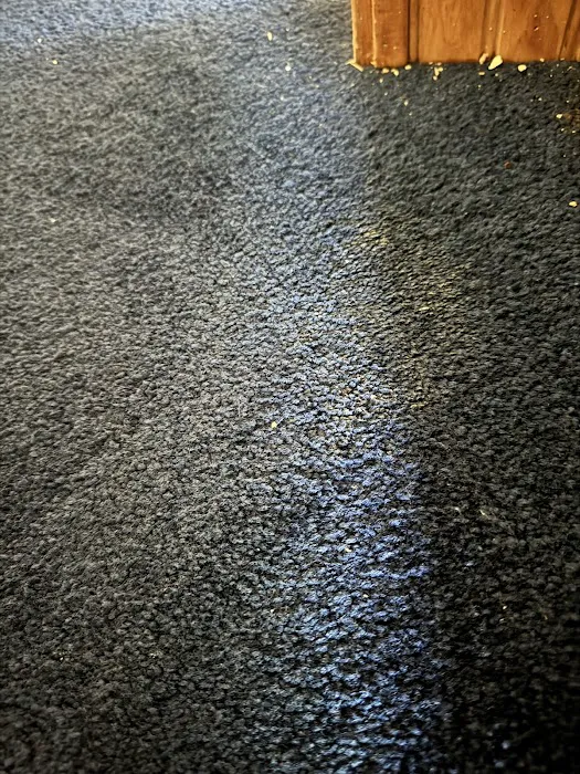 Stanley Steemer Picture 6