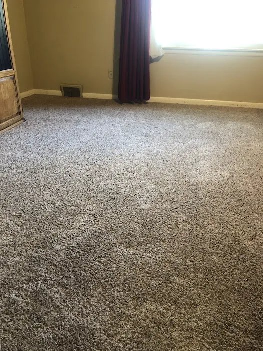 Stanley Steemer Picture 3