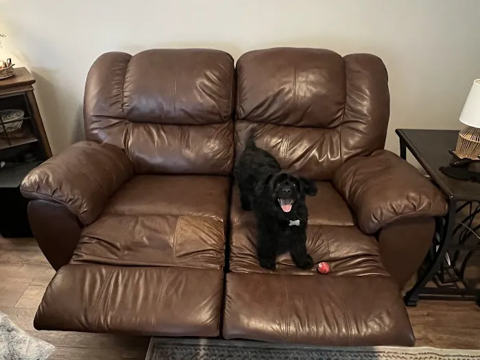 Stanley Steemer Picture 5