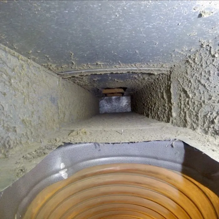 Stanley Steemer Picture 10