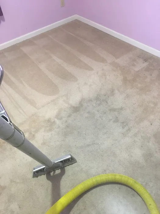 Stanley Steemer Picture 7