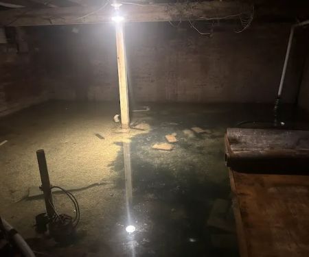 1-800 WATER DAMAGE of Southwestern Indiana