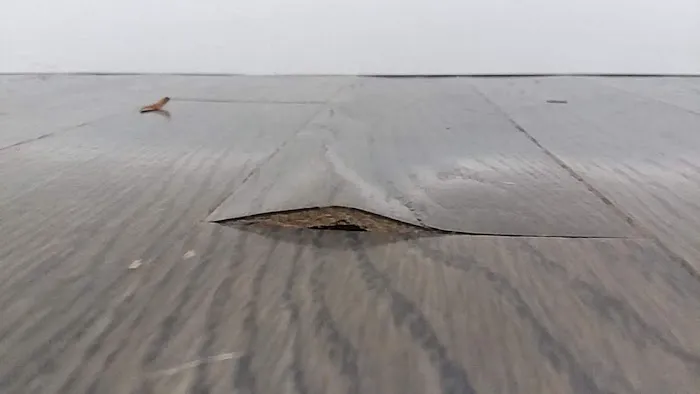 Timberline Restoration, Inc. Picture 2