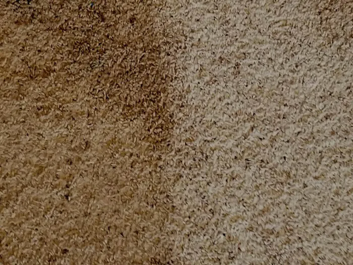 DBH LLC Services Picture 7