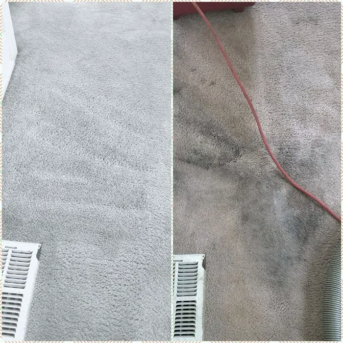 DBH LLC Services Picture 9