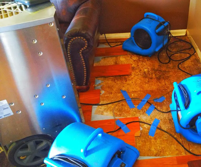 DBH LLC Services Picture 10