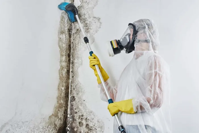 Phoenix Freedom Picture 3