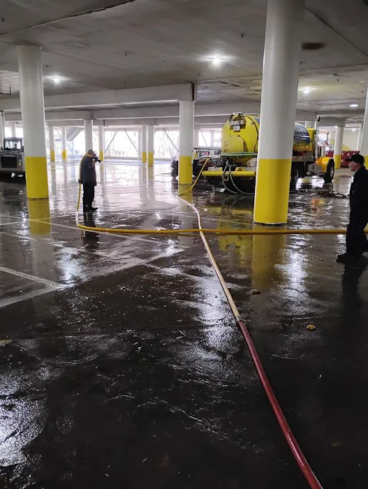 Phoenix Freedom Picture 10