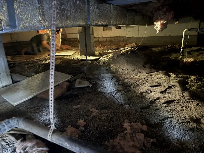 Crawlspace Medic of Evansville Picture 7