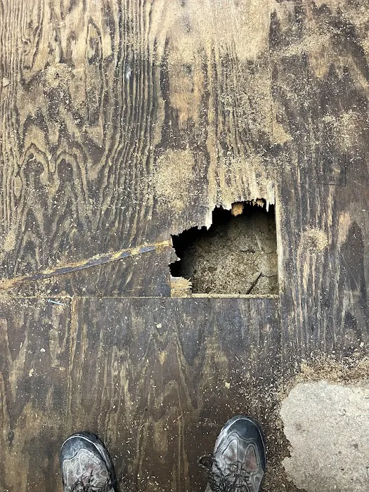 SERVPRO of Henderson, Webster, Union, McLean, and Crittenden Counties Picture 7