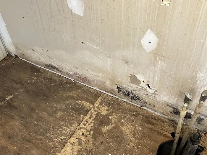 SERVPRO of Henderson, Webster, Union, McLean, and Crittenden Counties Picture 8