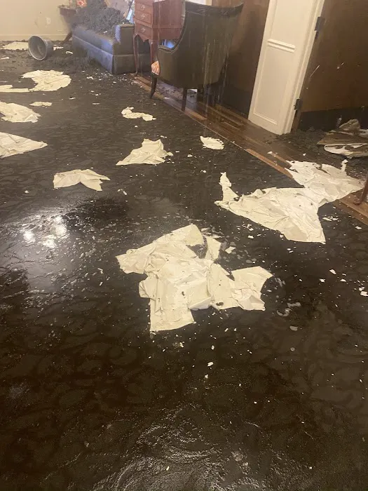 Fire-Water-Mold Mitigation Services LLC Picture 10