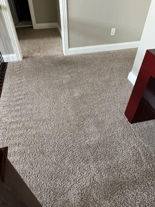 Champion Carpet Cleaning Picture 7