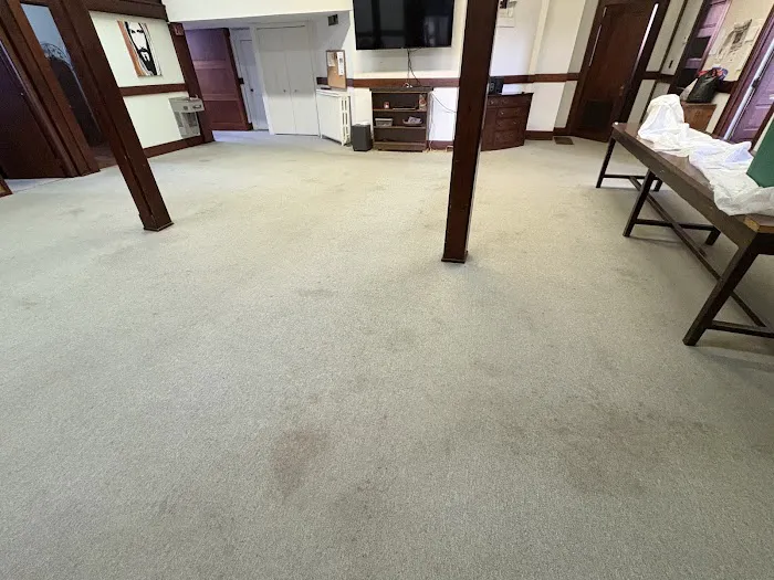 Champion Carpet Cleaning Picture 9