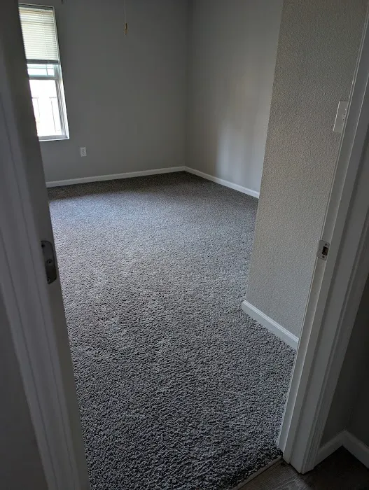 Champion Carpet Cleaning Picture 2