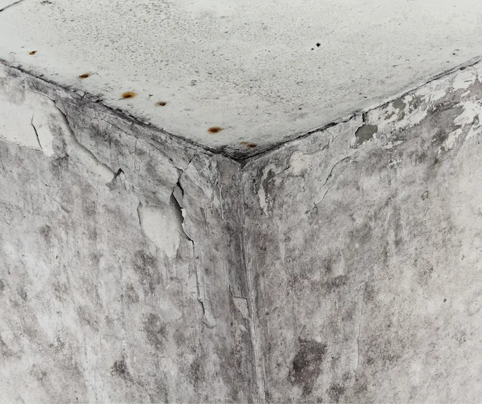 Newton's Cleaning & Restoration, LLC Picture 8