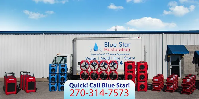 Blue Star Picture 2