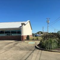 Disaster Team Inc. ico