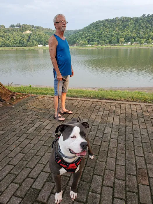 SERVPRO of Madison, Lawrenceburg and Versailles Picture 8