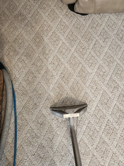 Excel Carpet Cleaning & Water Damage Restoration Picture 6