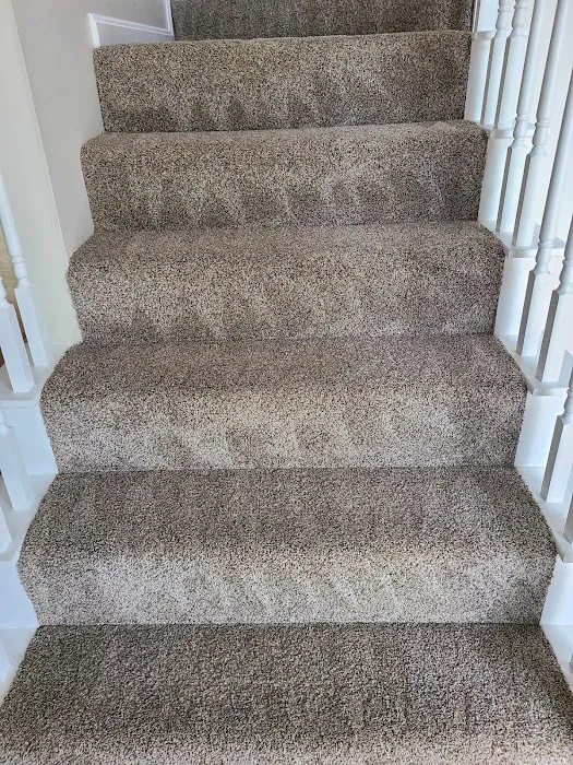 Excel Carpet Cleaning & Water Damage Restoration Picture 3