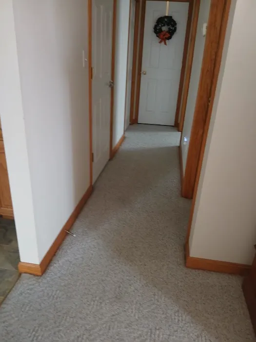 Stanley Steemer Picture 6