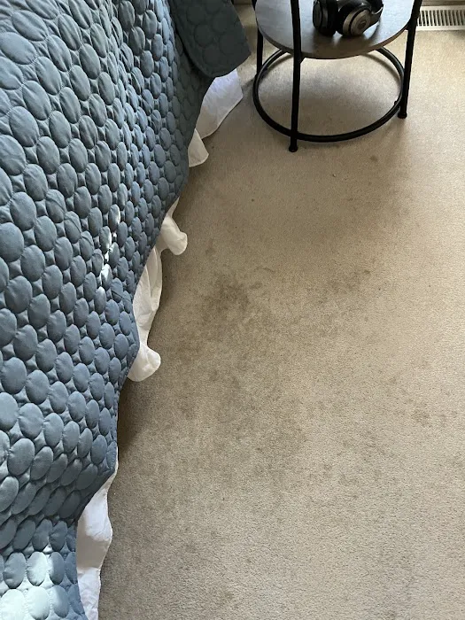 Stanley Steemer Picture 1