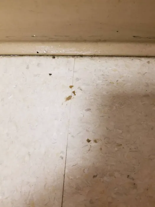 Stanley Steemer Picture 5