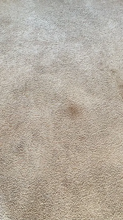 Stanley Steemer Picture 9