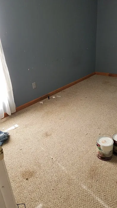 Pile's Carpet Care & Restoration Service Picture 5