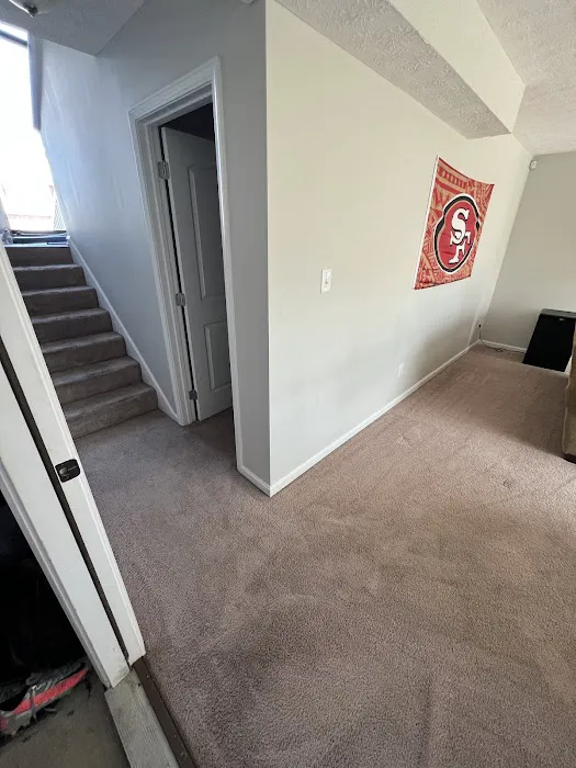 Pile's Carpet Care & Restoration Service Picture 9