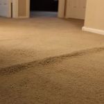 Pile's Carpet Care & Restoration Service