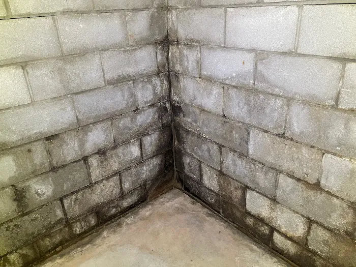 Foundation Solutions Group Picture 5