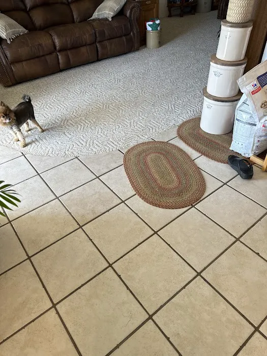 Stanley Steemer Picture 6