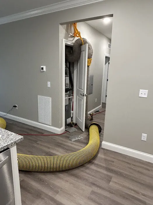 Stanley Steemer Picture 4