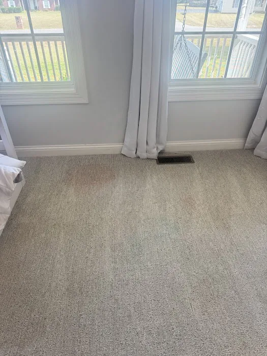 Stanley Steemer Picture 8