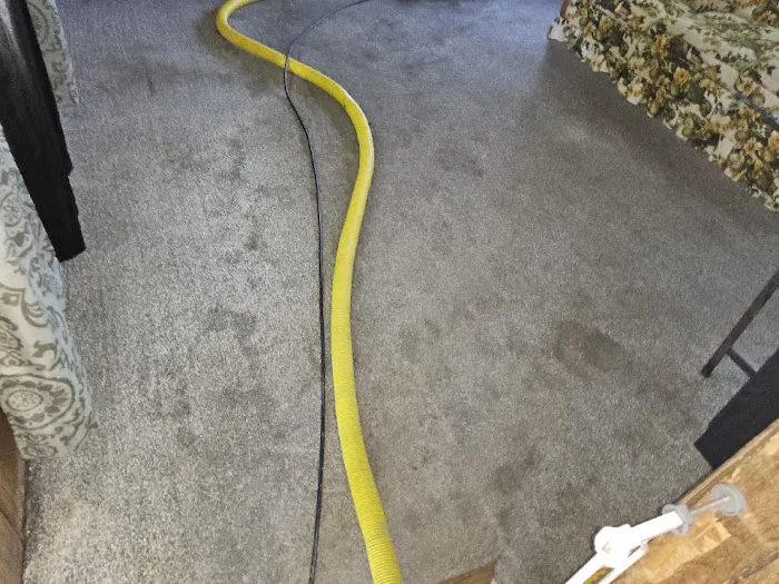 Stanley Steemer Picture 1