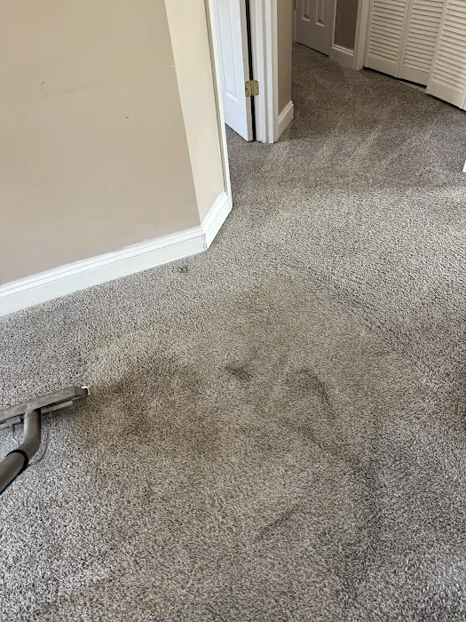 Fitzy's Steamatic Picture 7