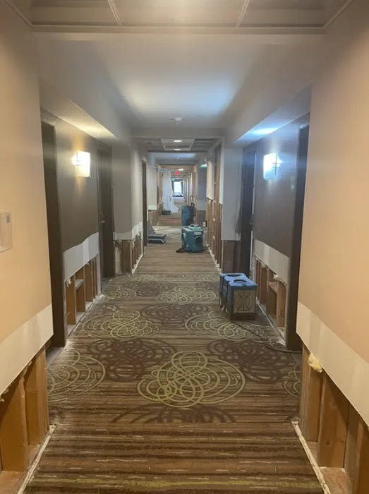 ServiceMaster KRS - Bloomington Picture 9