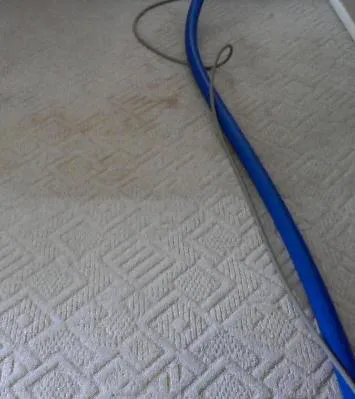 On the Spot Carpet Cleaning Picture 4
